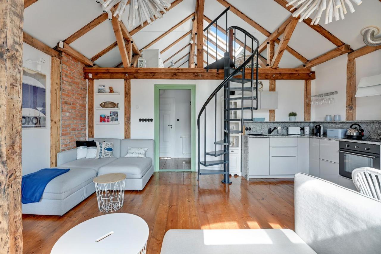 Lion - Cosy Attic