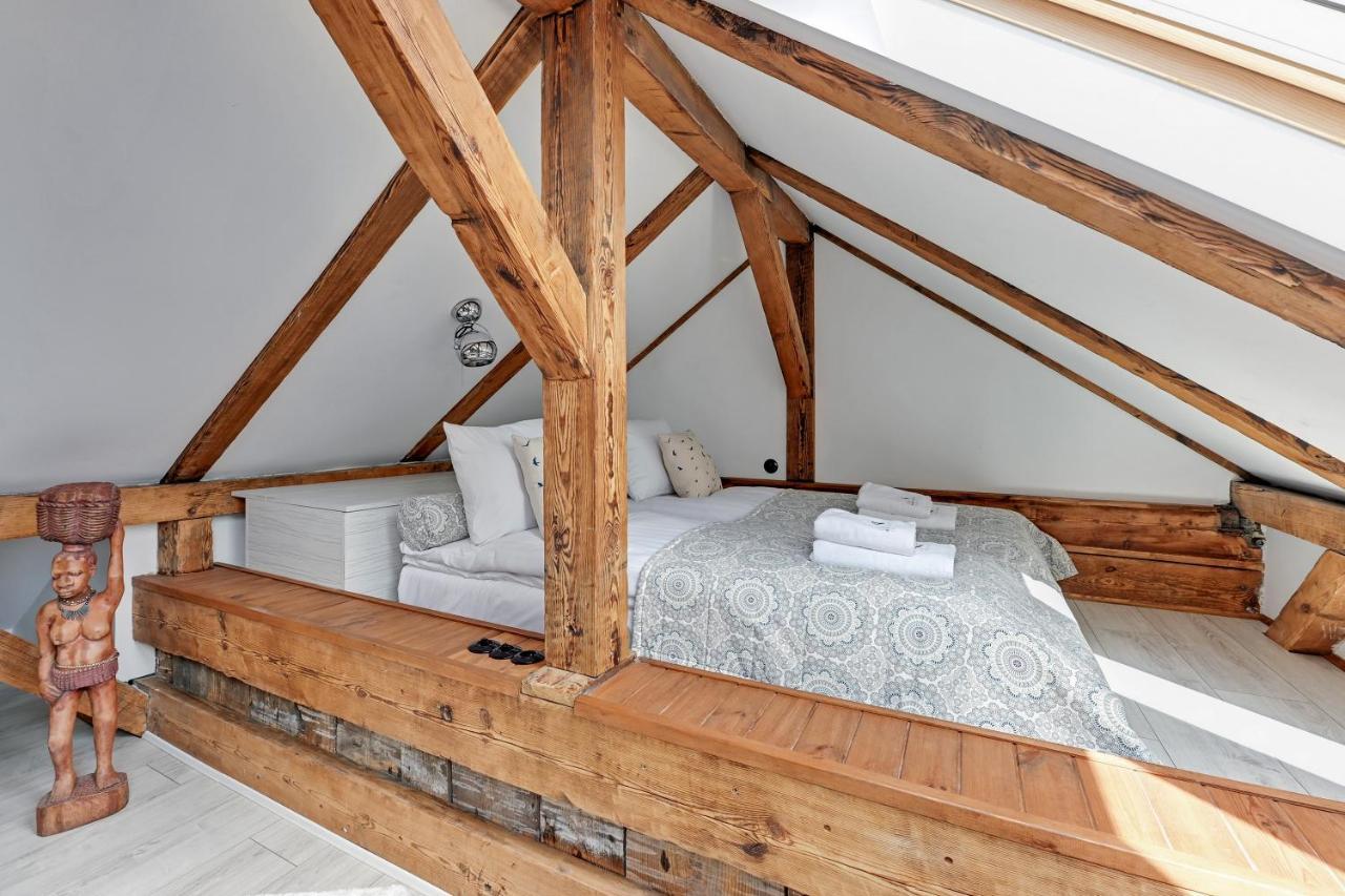 Lion - Cosy Attic Zoppot